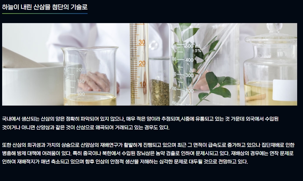 감귤대체작물 산삼배양근이란