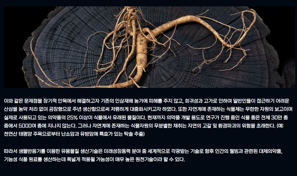 감귤대체작물 산삼배양근이란